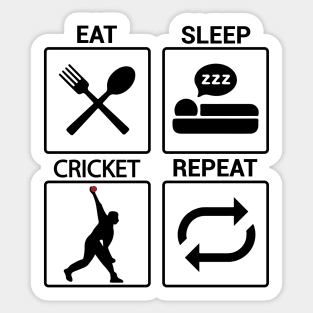 Cricket Evolution Bowler Batsman Player Fans Sticker